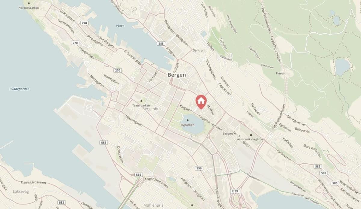 Dinbnb Homes I #1 Bnb In Bergen I Jacuzzi & Parking & Location Eksteriør billede